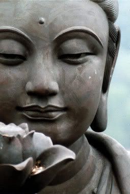 buddha lotus Pictures, Images and Photos