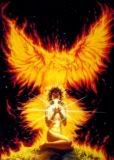 redphoenix Avatar