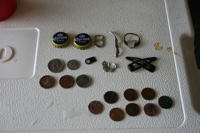 MetalDetecting002.jpg