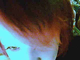 Image hosted by Photobucket.com
