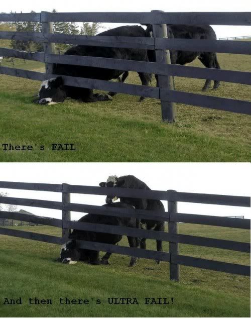 [Image: CowFailUltraFail.jpg]