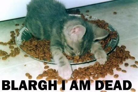 [Image: kittyisDEAD.jpg]