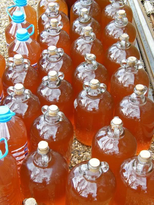 ciderbottling02.jpg