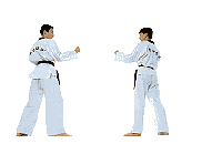 Karate1001.gif