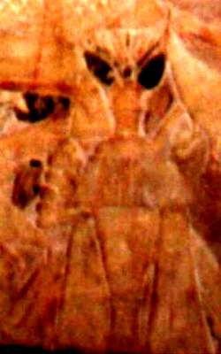 1b0187e9.jpg