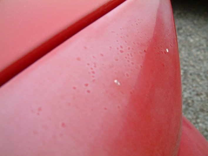 MR2005.jpg