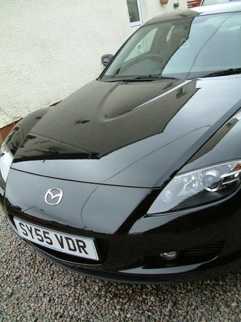 RX8009.jpg