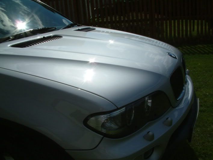 X5014.jpg
