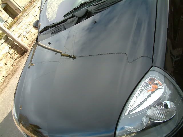 clio004.jpg