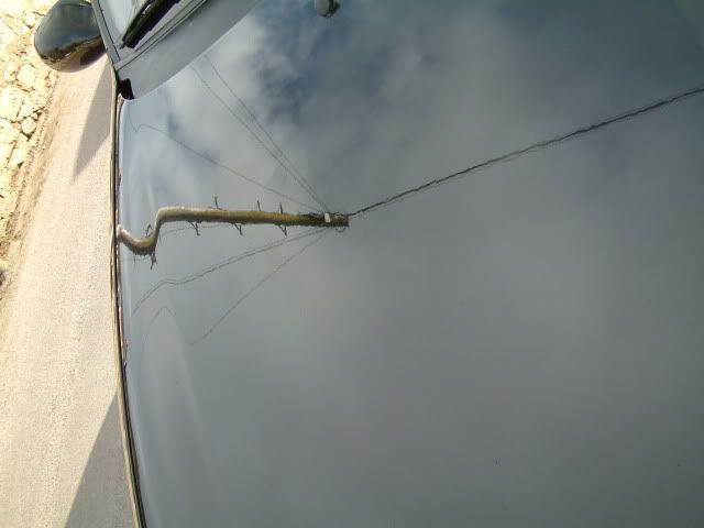 clio005.jpg