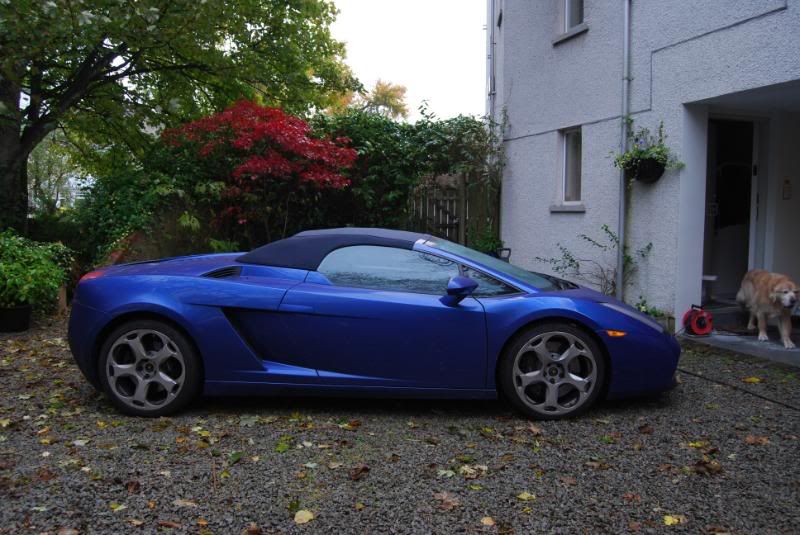 lambospyder012.jpg
