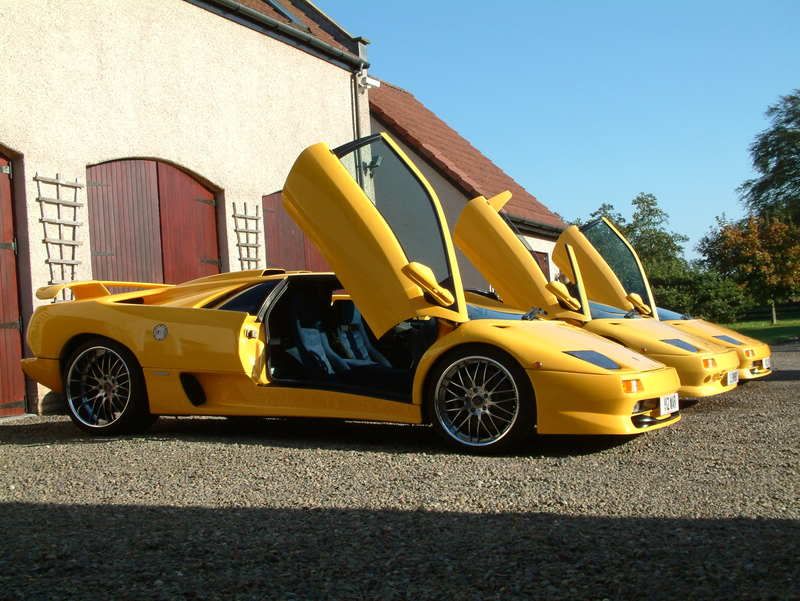 lambo005.jpg