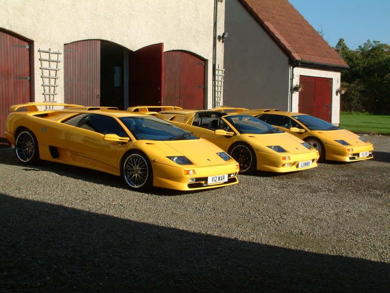 lambo015.jpg