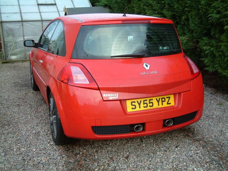 meganecup001.jpg