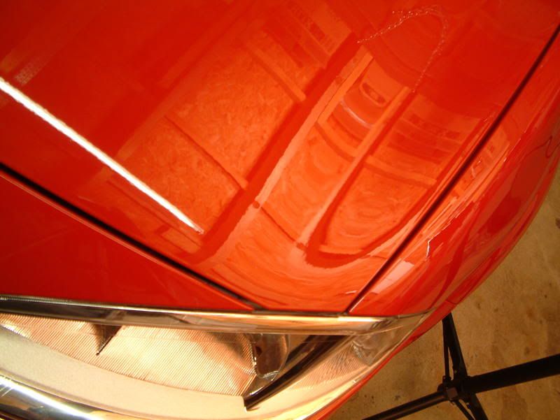 meganecup046.jpg
