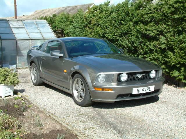 mustang002.jpg