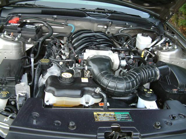 mustang005.jpg