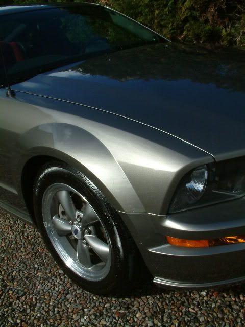 mustang007.jpg
