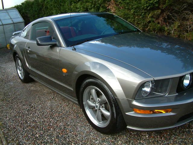mustang008.jpg
