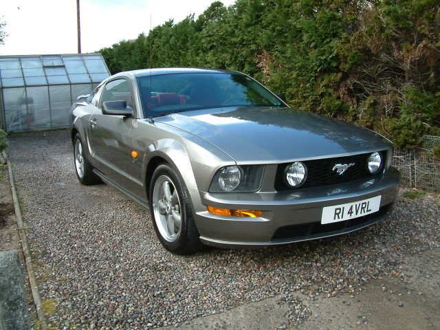 mustang009.jpg