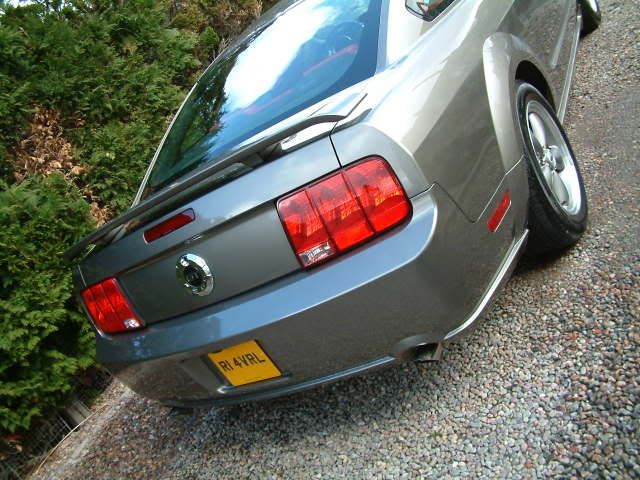 mustang012.jpg