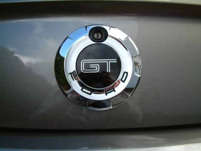 mustang013.jpg