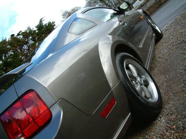 mustang014.jpg