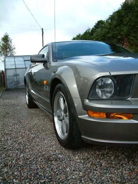 mustang017.jpg