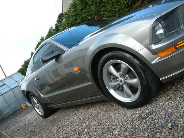 mustang018.jpg