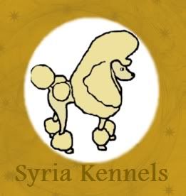 Syrias Crystal Ball