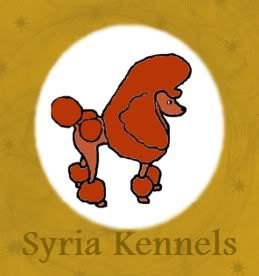 Syrias Paprika Red