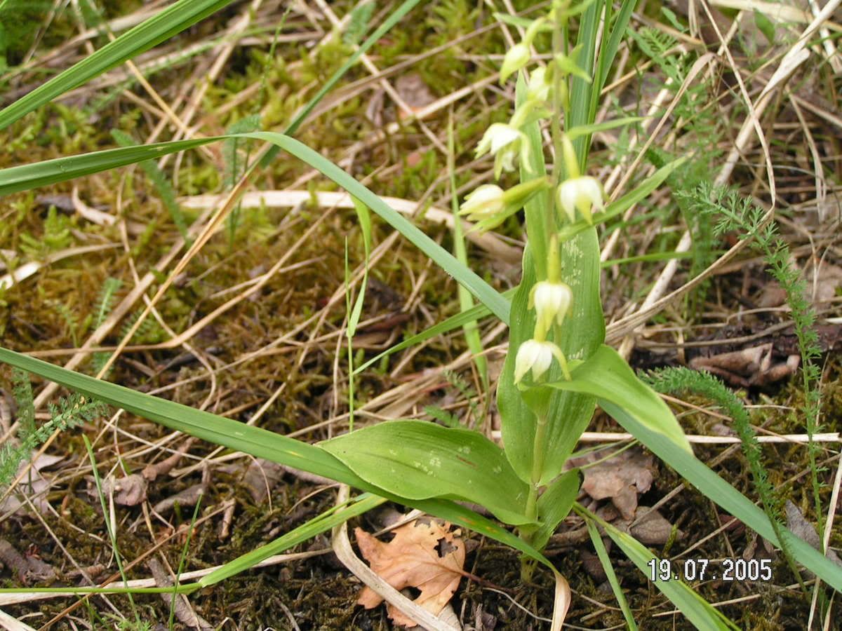 Image hosted by Photobucket.com