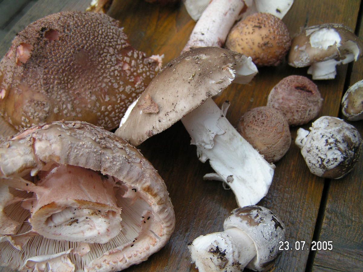 Image hosted by Photobucket.com