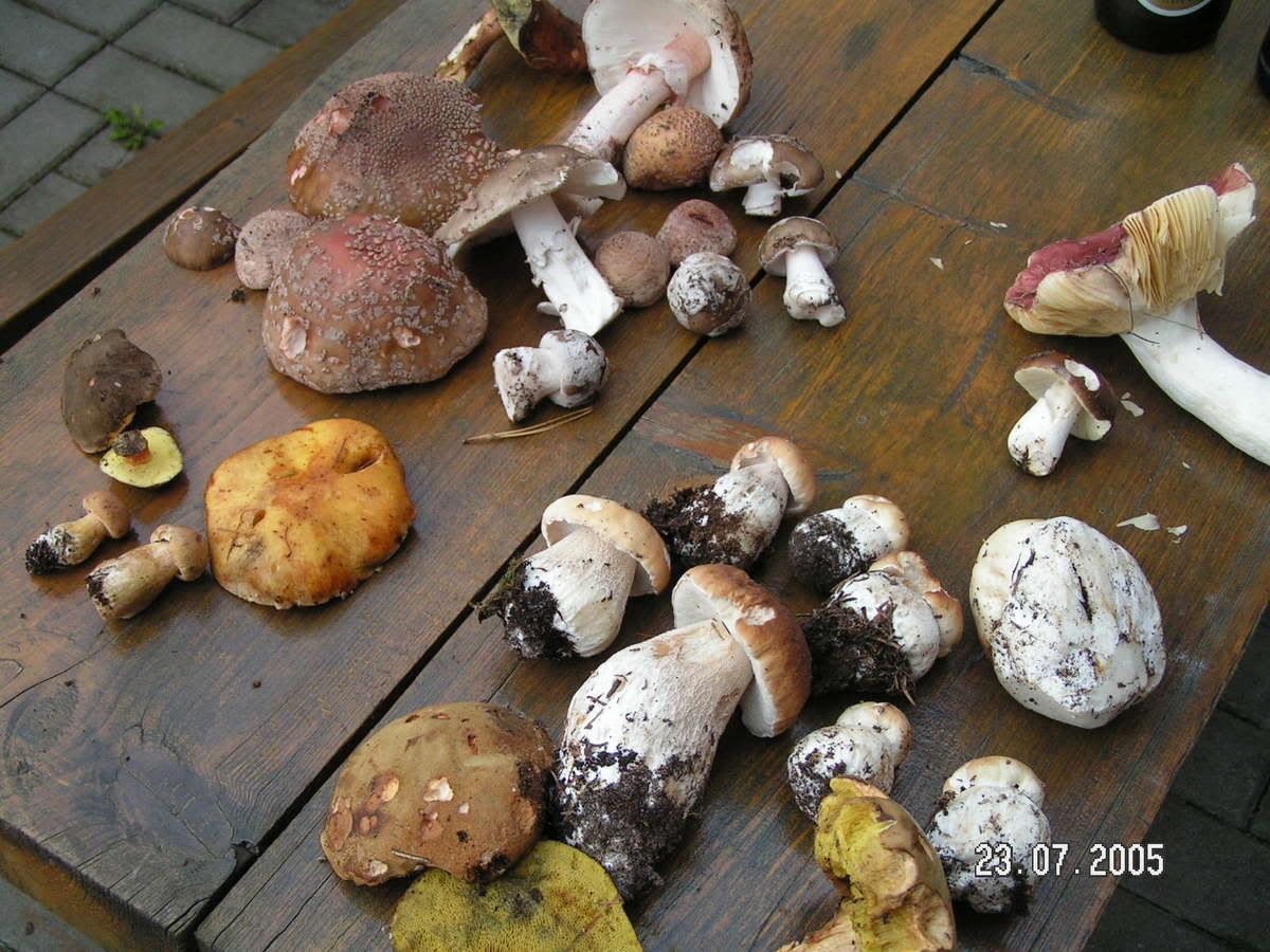 Image hosted by Photobucket.com