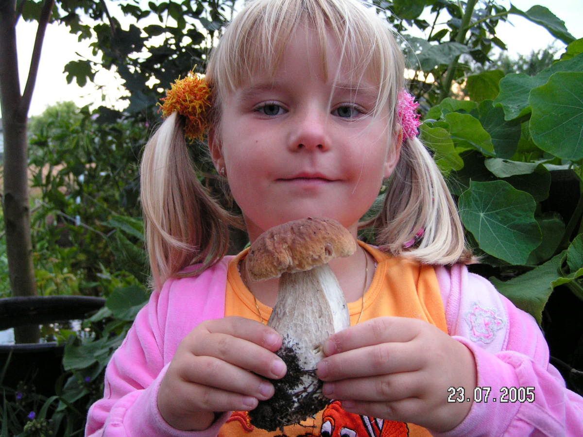 Image hosted by Photobucket.com