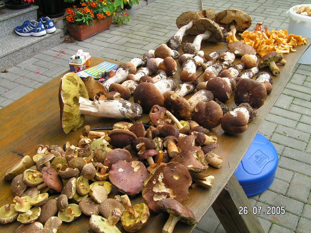 Image hosted by Photobucket.com