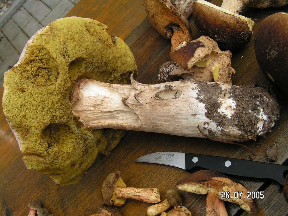 Image hosted by Photobucket.com