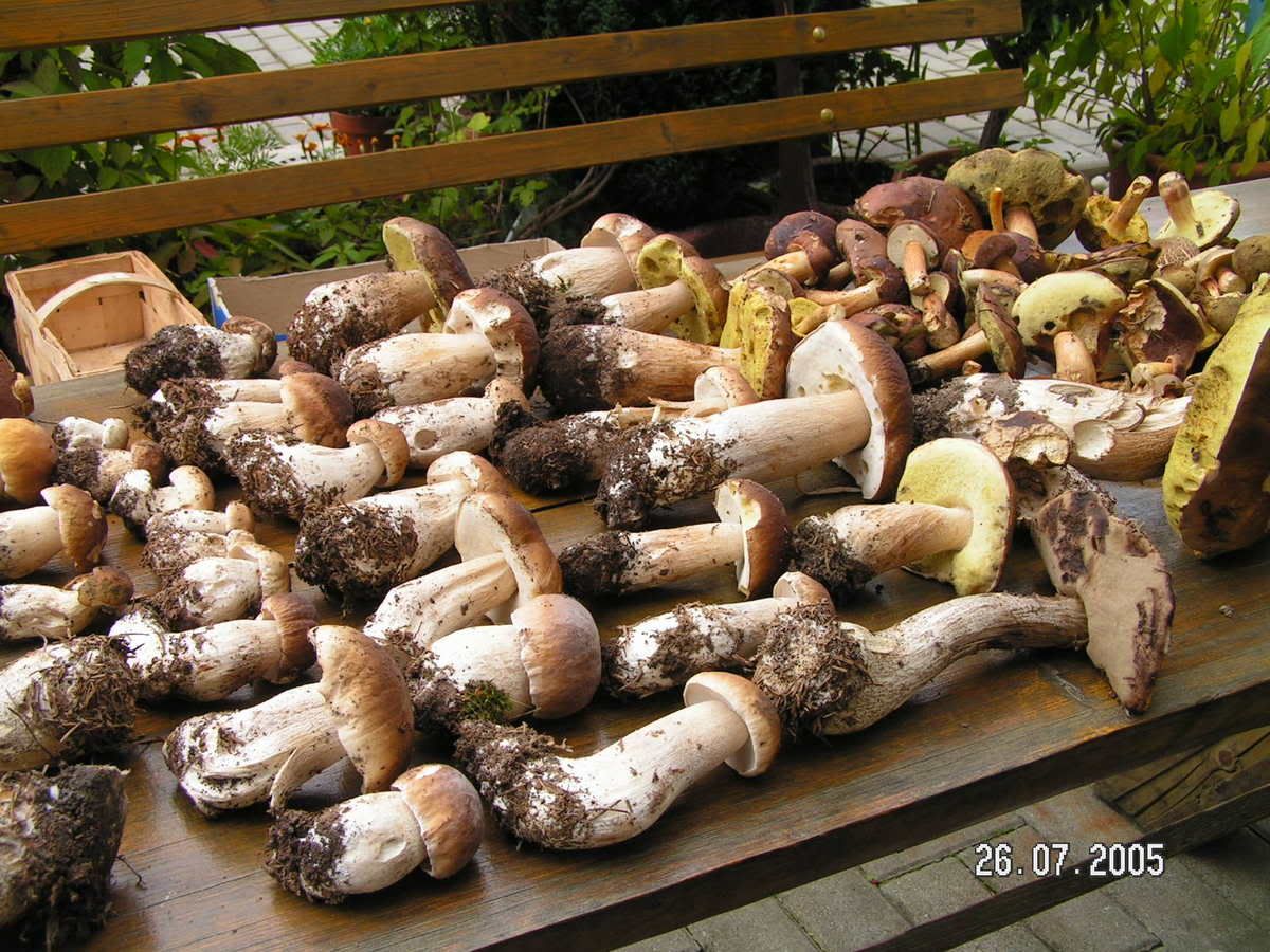 Image hosted by Photobucket.com