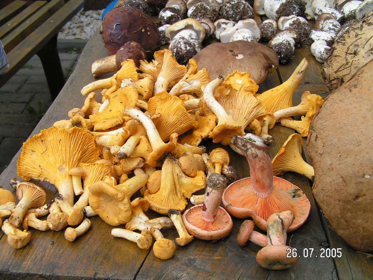 Image hosted by Photobucket.com