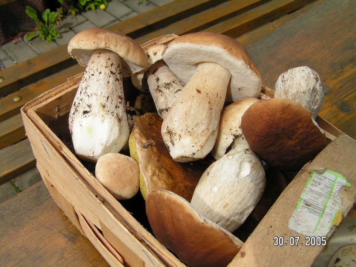 Image hosted by Photobucket.com