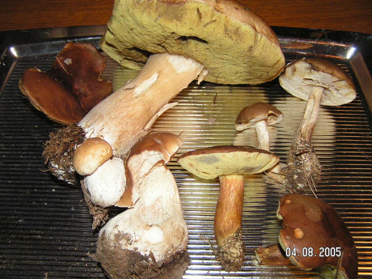 Image hosted by Photobucket.com