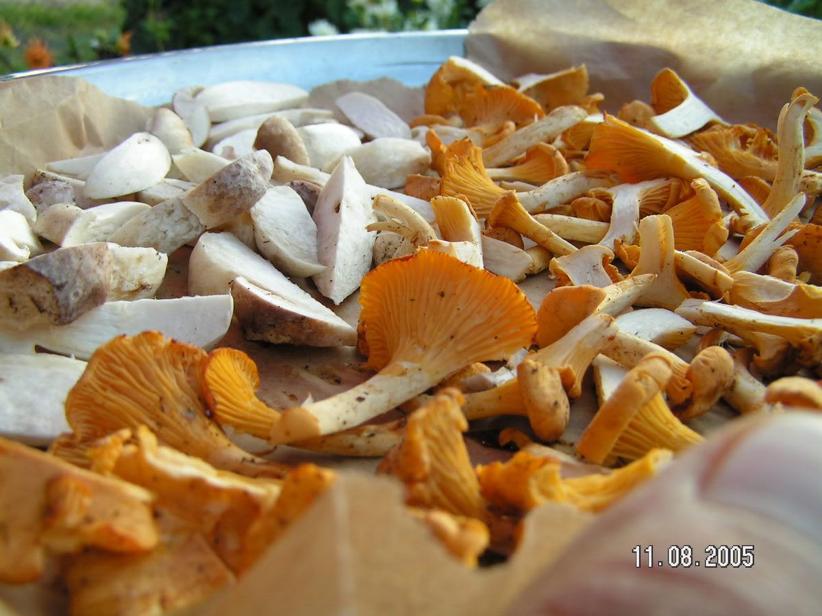 Image hosted by Photobucket.com