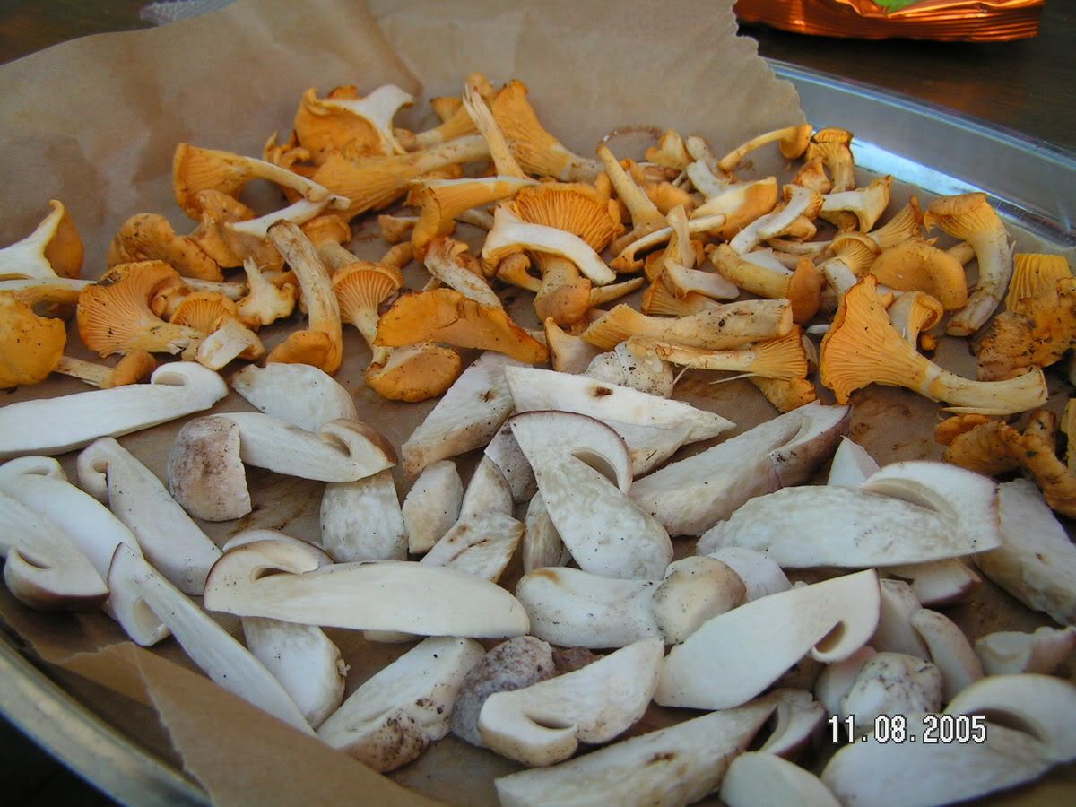 Image hosted by Photobucket.com