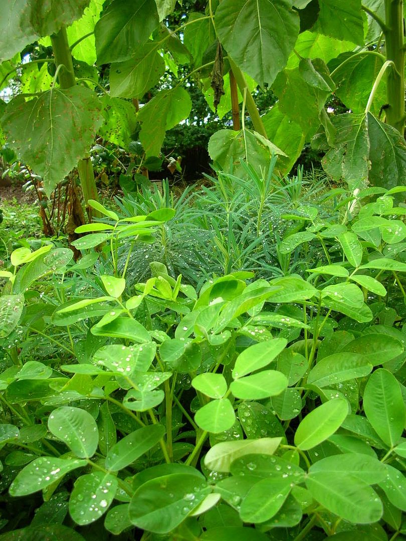indovinello.jpg