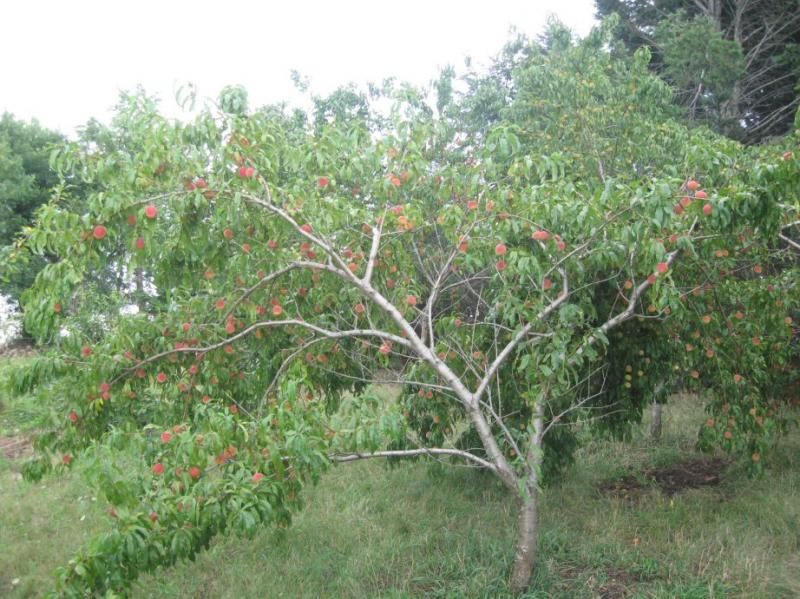 photo aa_zps57281da7.jpg