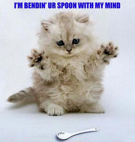 bendinspoon.jpg