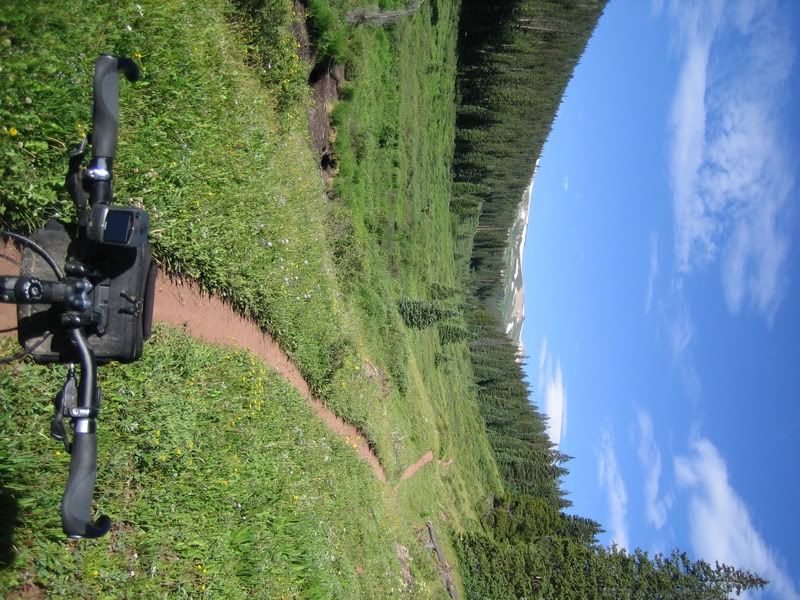 Copper Triangle - Guller Gulch