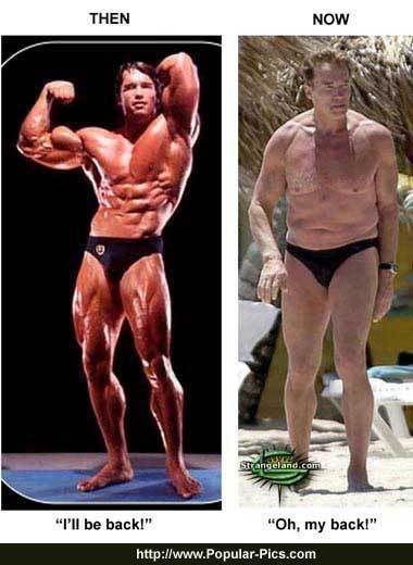 arnold schwarzenegger workout chart. Arnold+schwarzenegger+now+