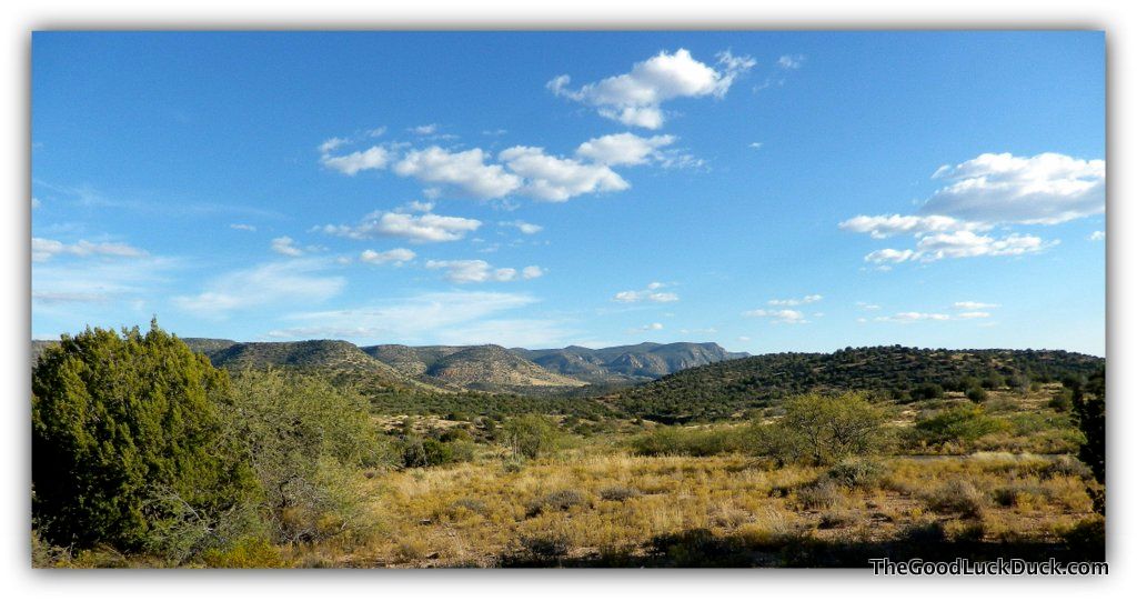 Coconino National Forest