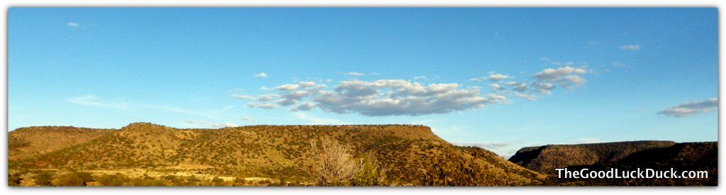 Coconino National Forest